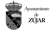 Ayuntamiento_Zujar---Zenit-Drones--.jpg